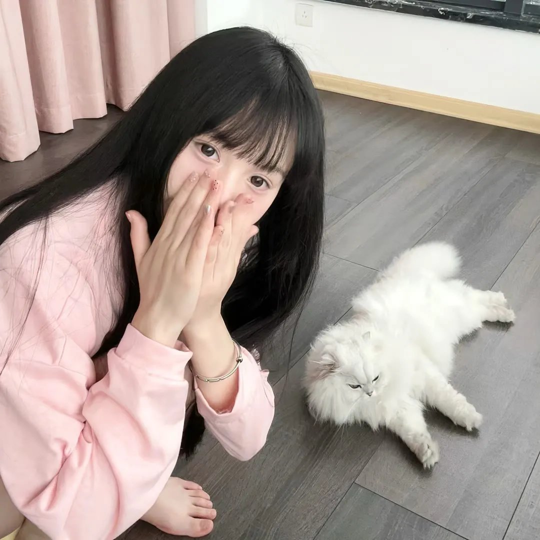 花生酱猎鹰的愿望