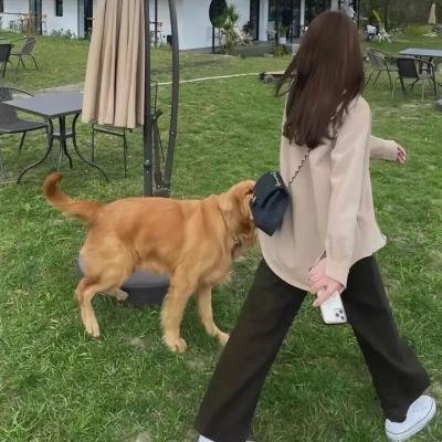 战斗巡航